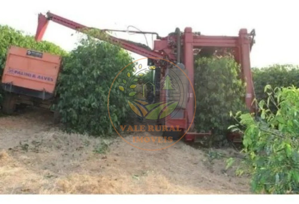Fazenda - Foto 17