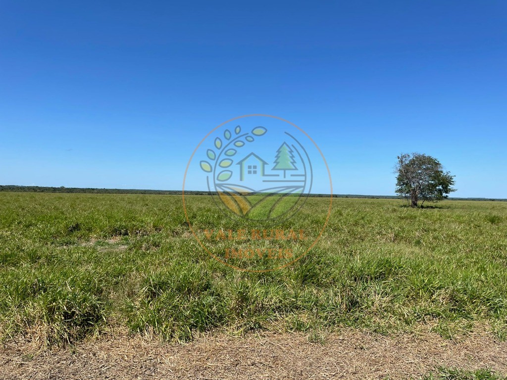 Fazenda - Foto 20