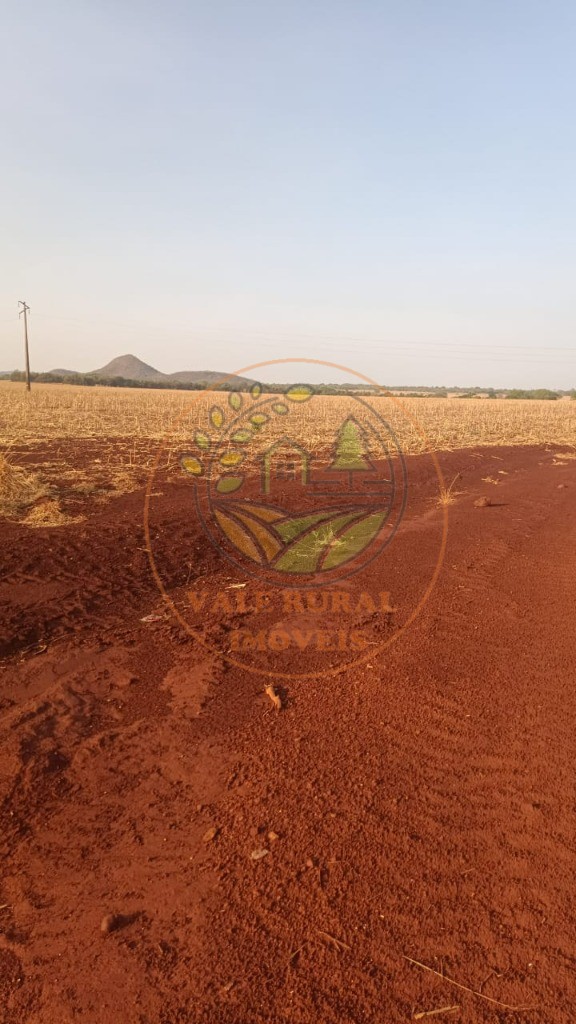 Fazenda - Foto 27