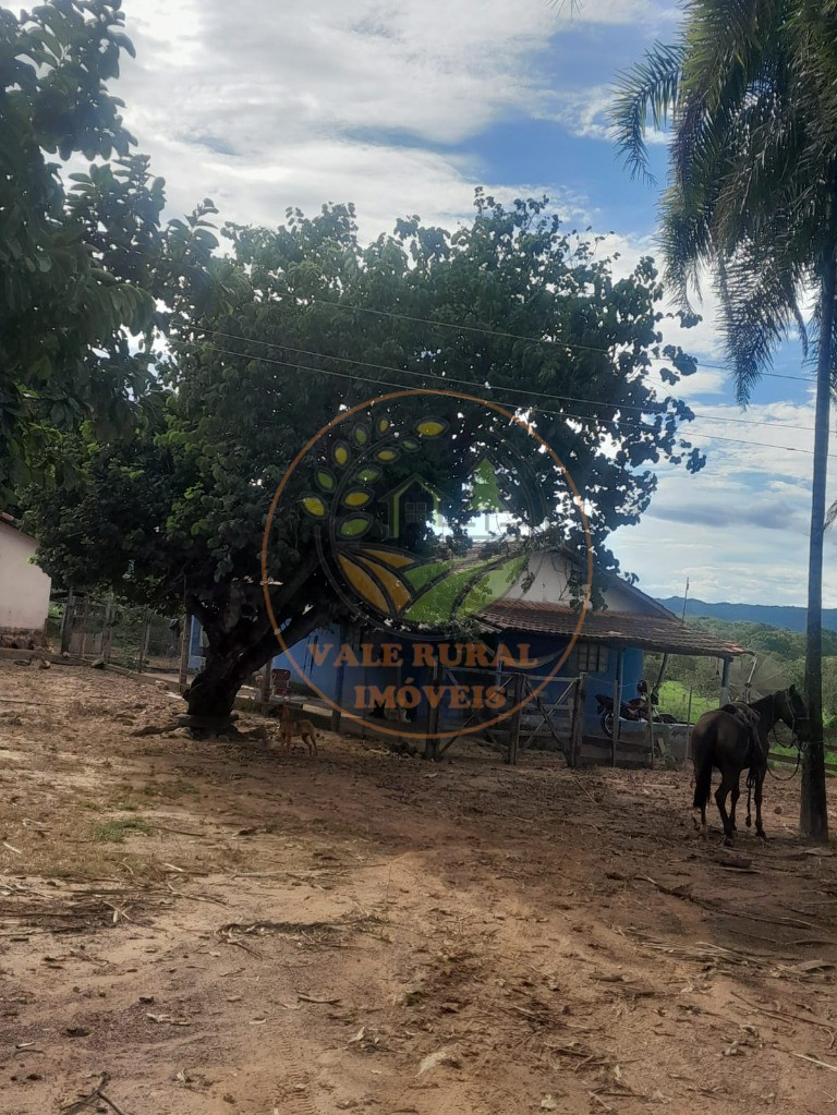 Fazenda - Foto 13