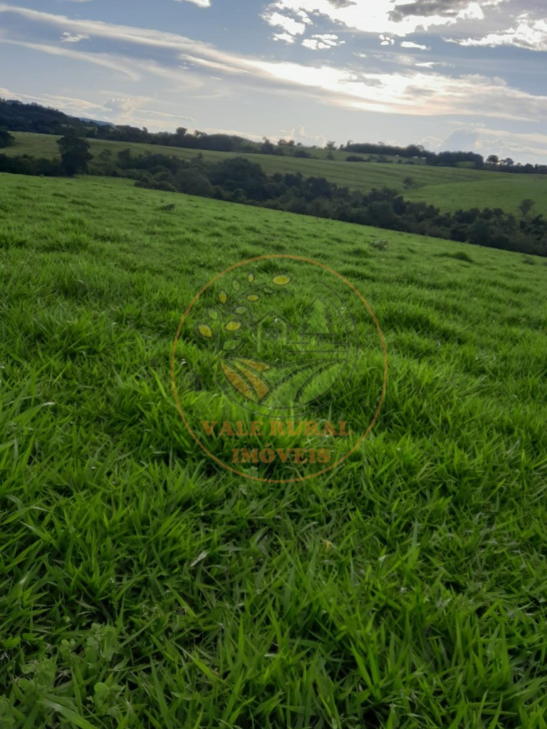 Fazenda - Foto 10