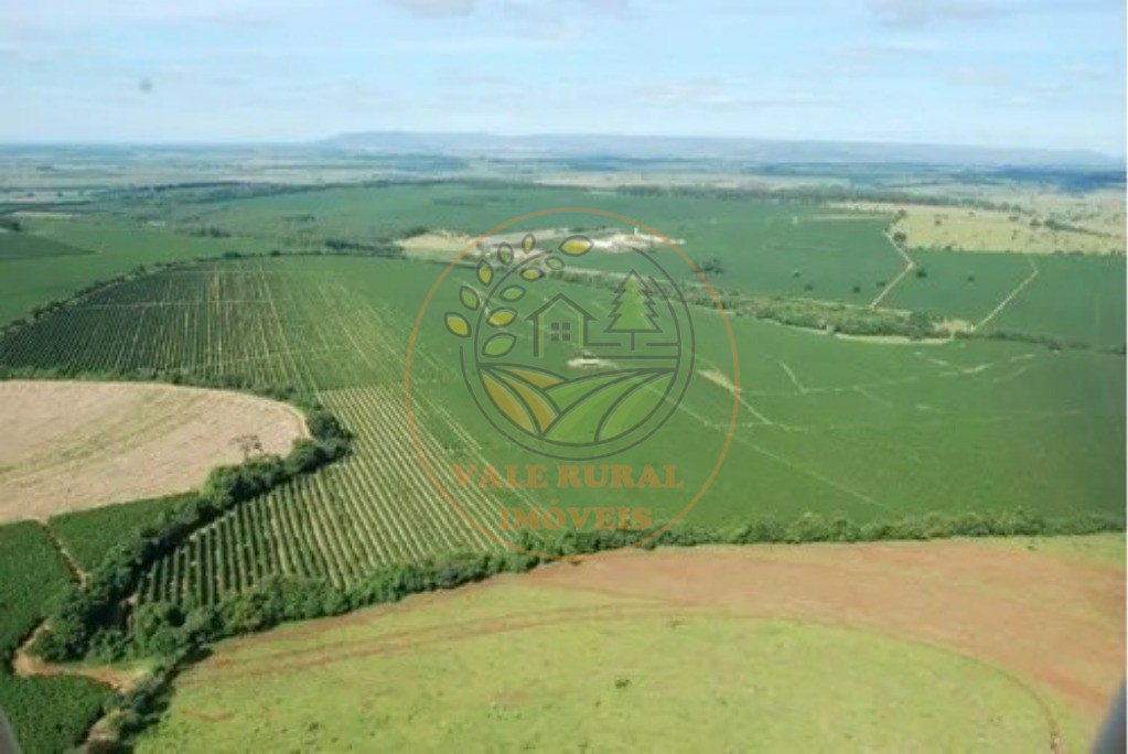 Fazenda - Foto 23