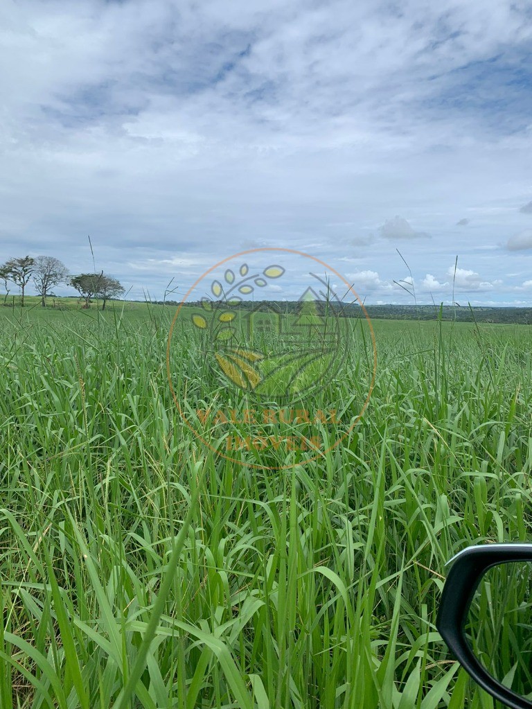 Fazenda - Foto 5