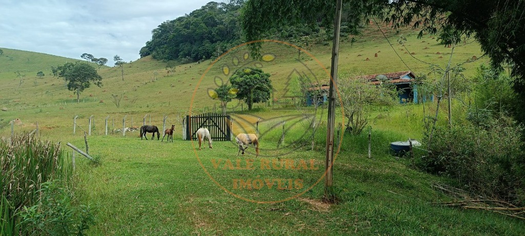 Sítio - Foto 1