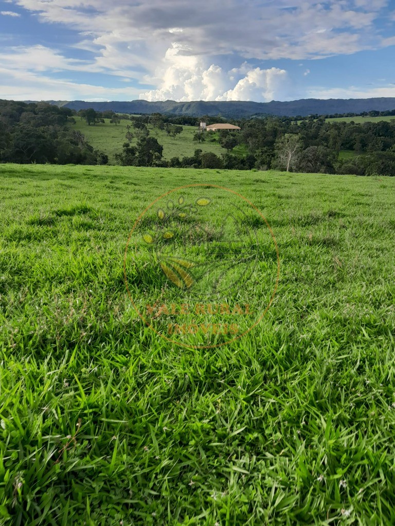 Fazenda - Foto 8
