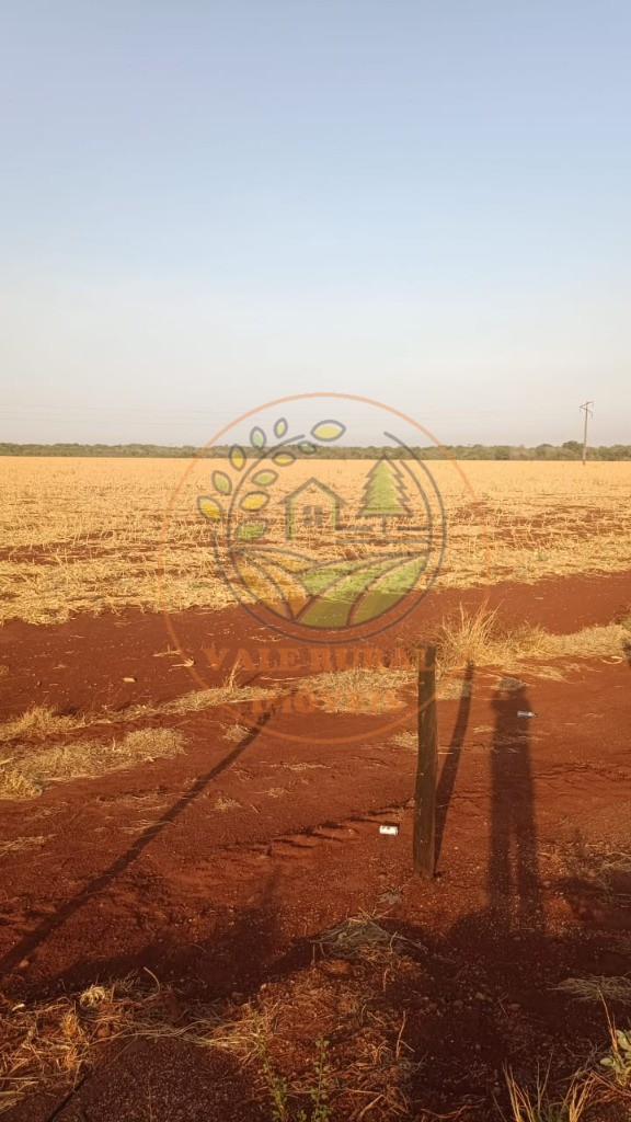 Fazenda - Foto 26