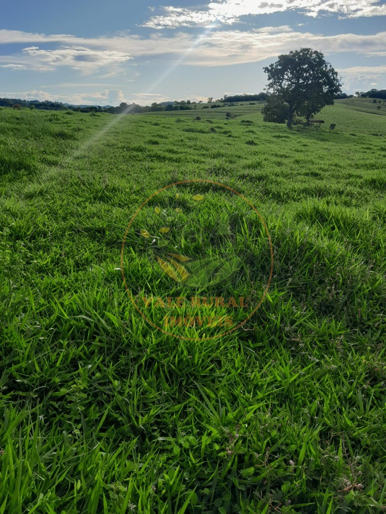 Fazenda - Foto 3
