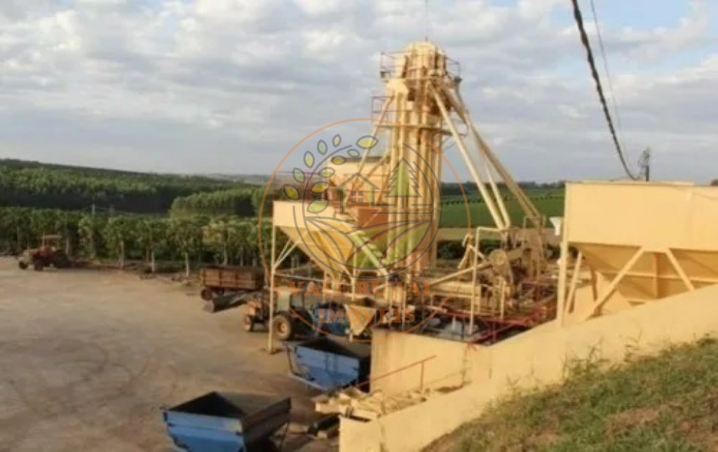 Fazenda - Foto 21