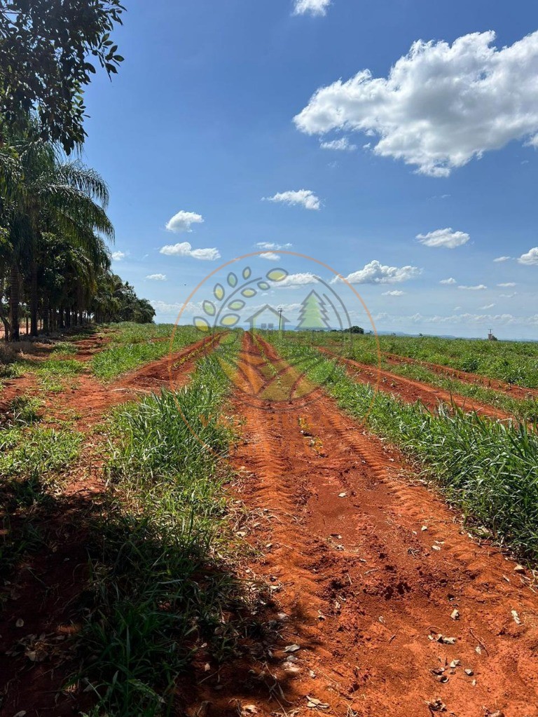 Fazenda - Foto 25