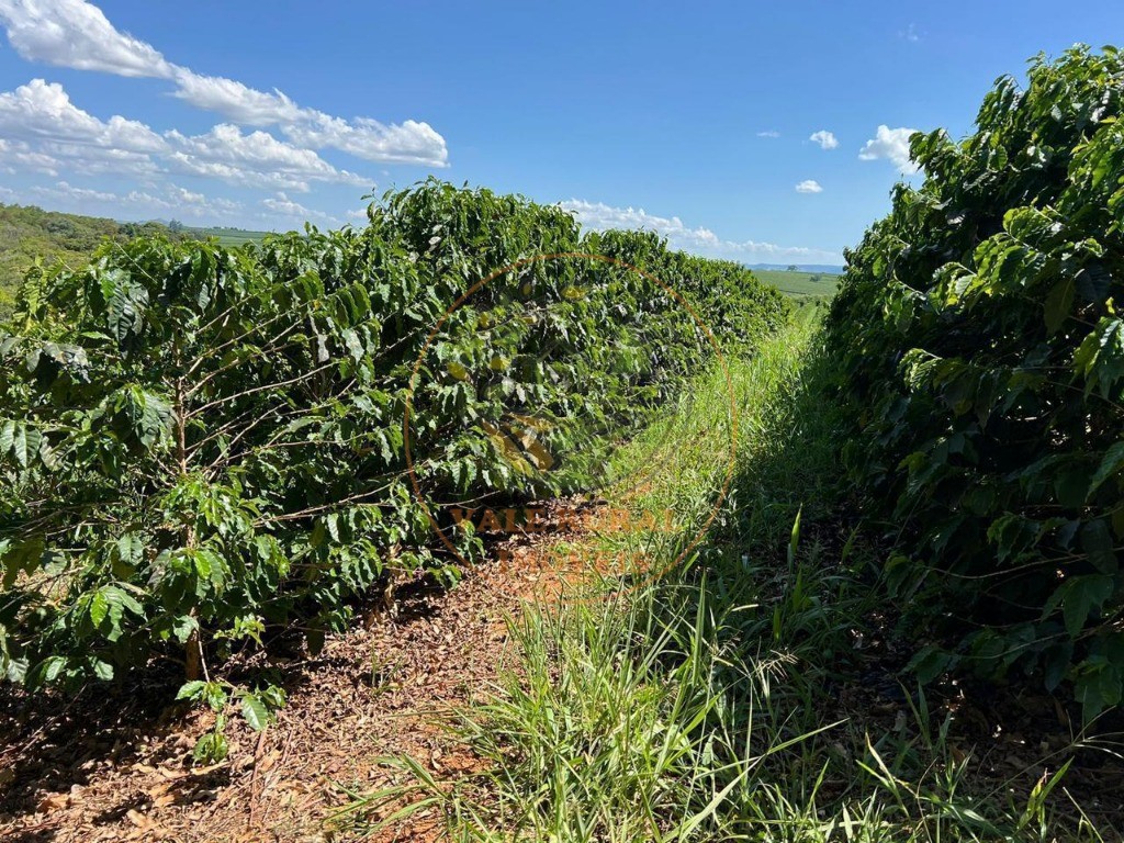 Fazenda - Foto 5