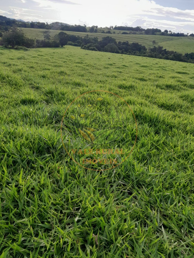 Fazenda - Foto 6