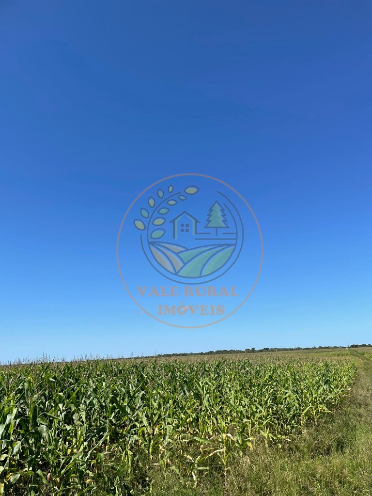 Fazenda - Foto 26