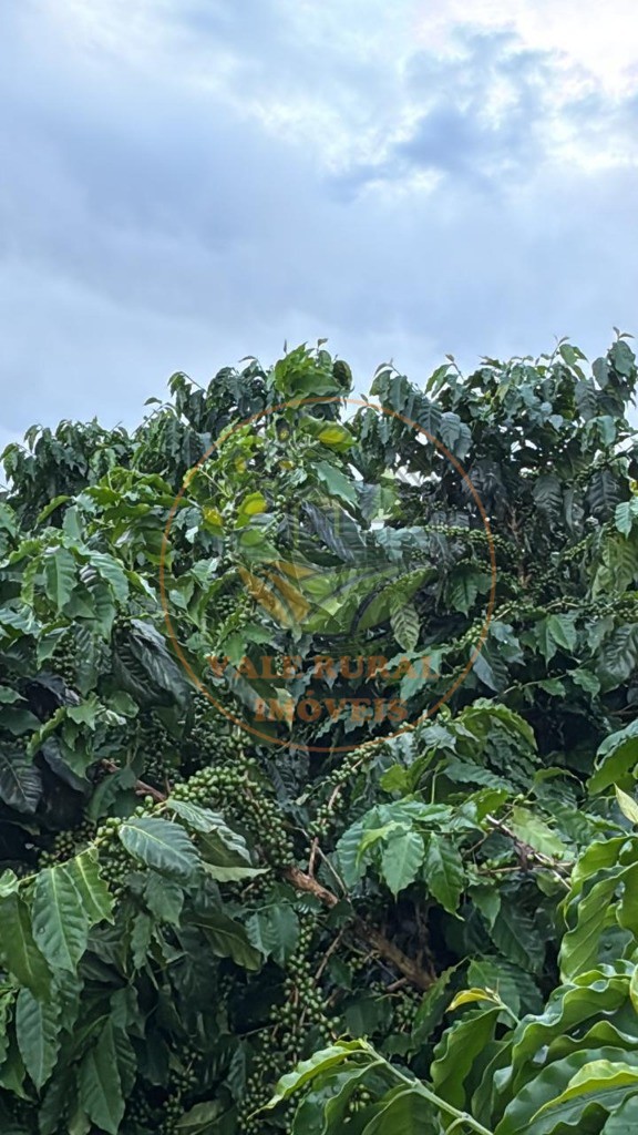 Fazenda - Foto 6