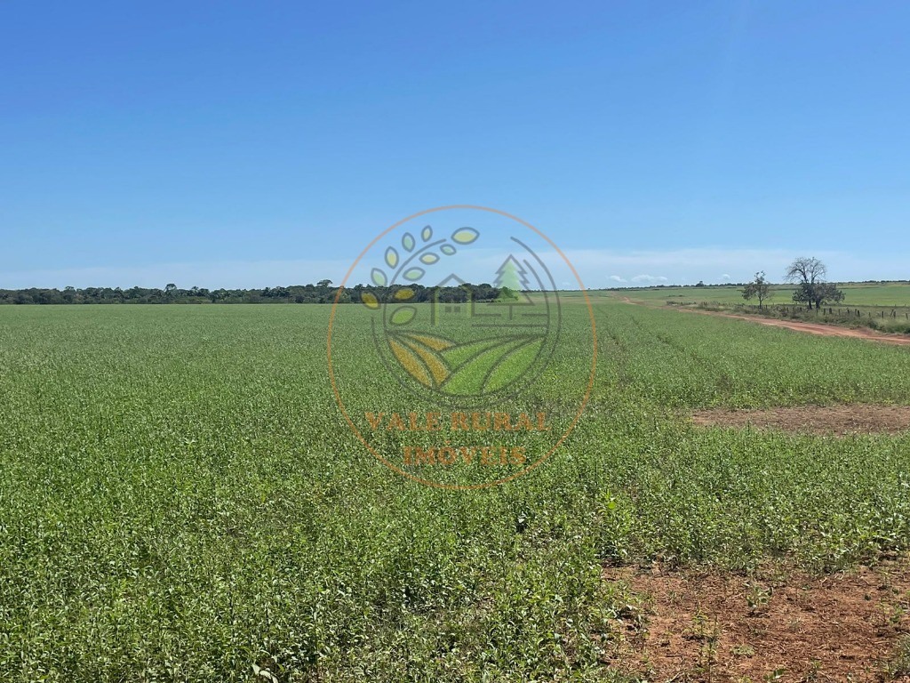 Fazenda - Foto 18