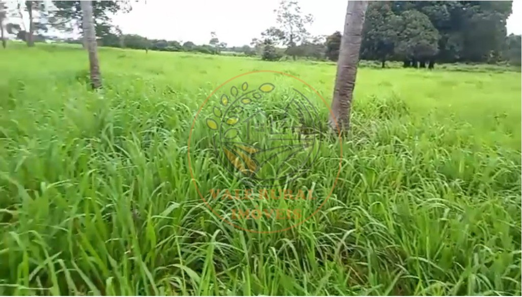 Fazenda - Foto 7