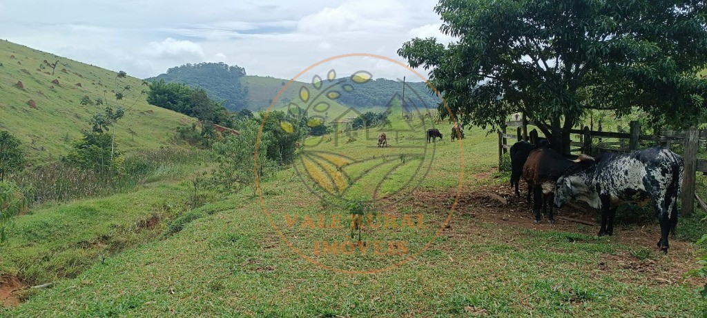 Sítio - Foto 14