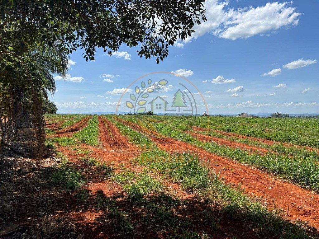 Fazenda - Foto 26