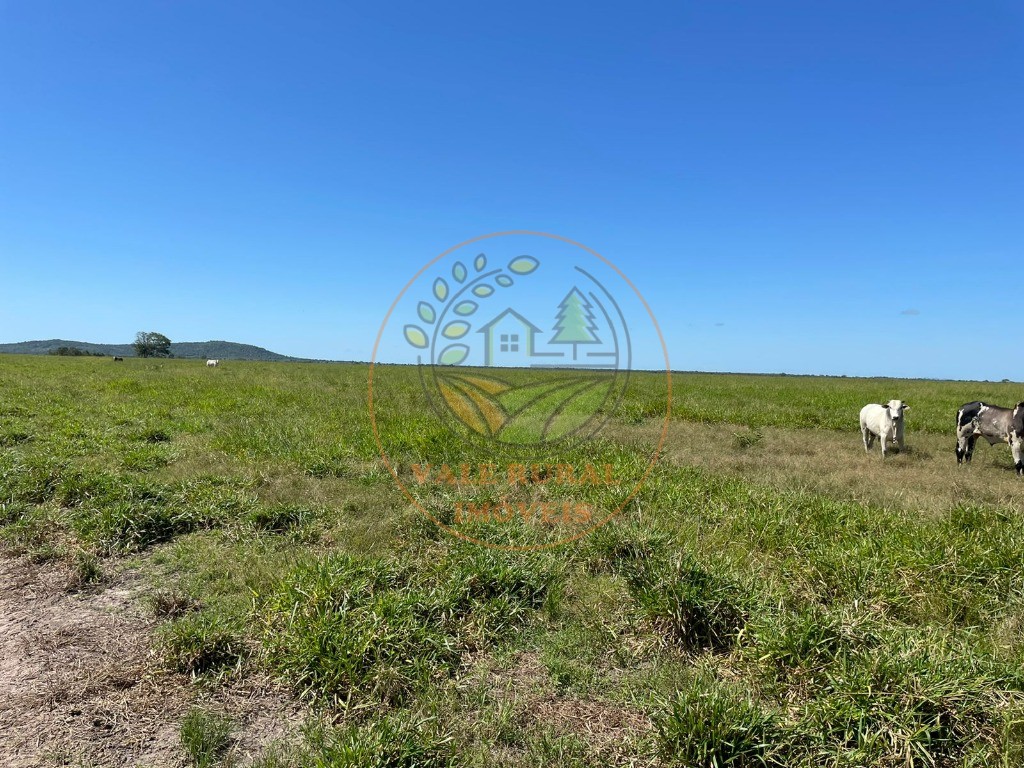 Fazenda - Foto 2