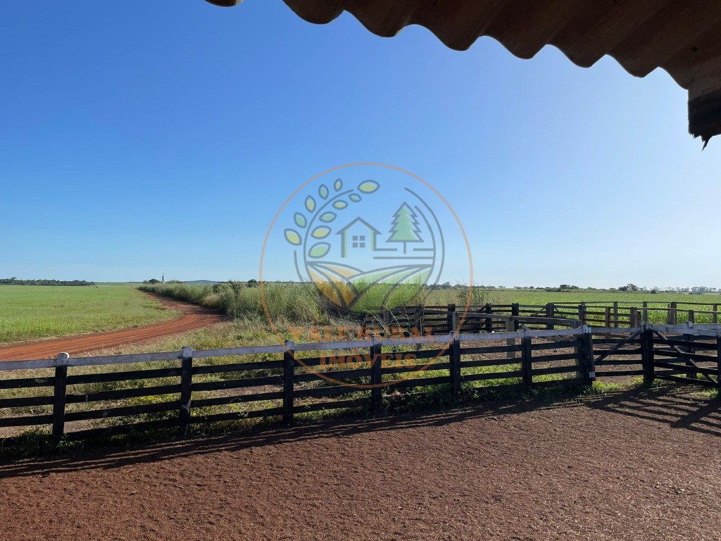 Fazenda - Foto 15