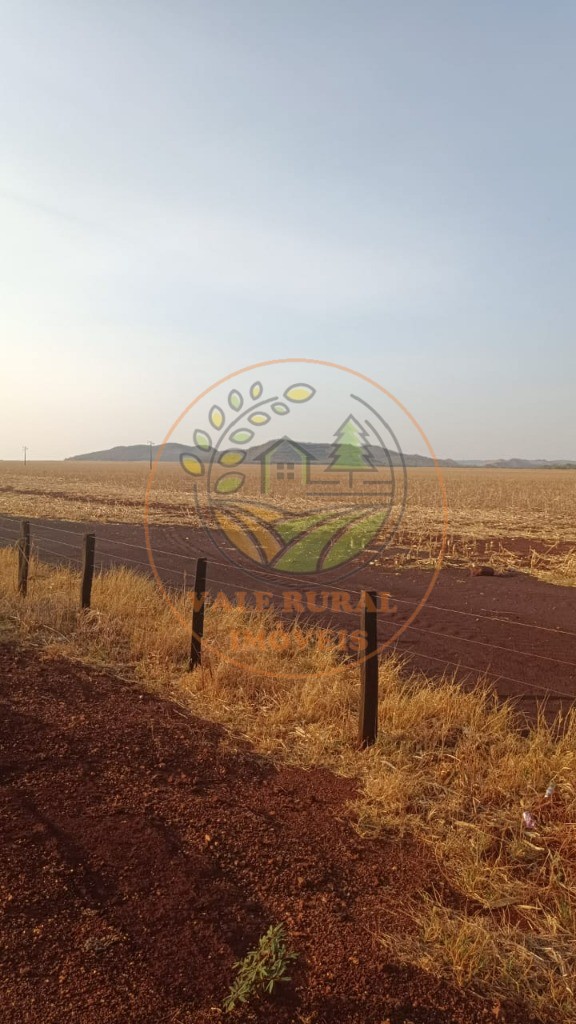 Fazenda - Foto 15