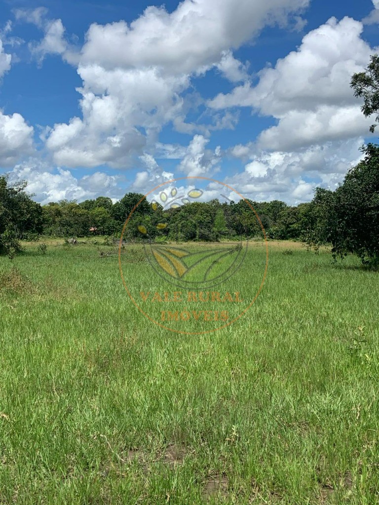 Fazenda - Foto 25