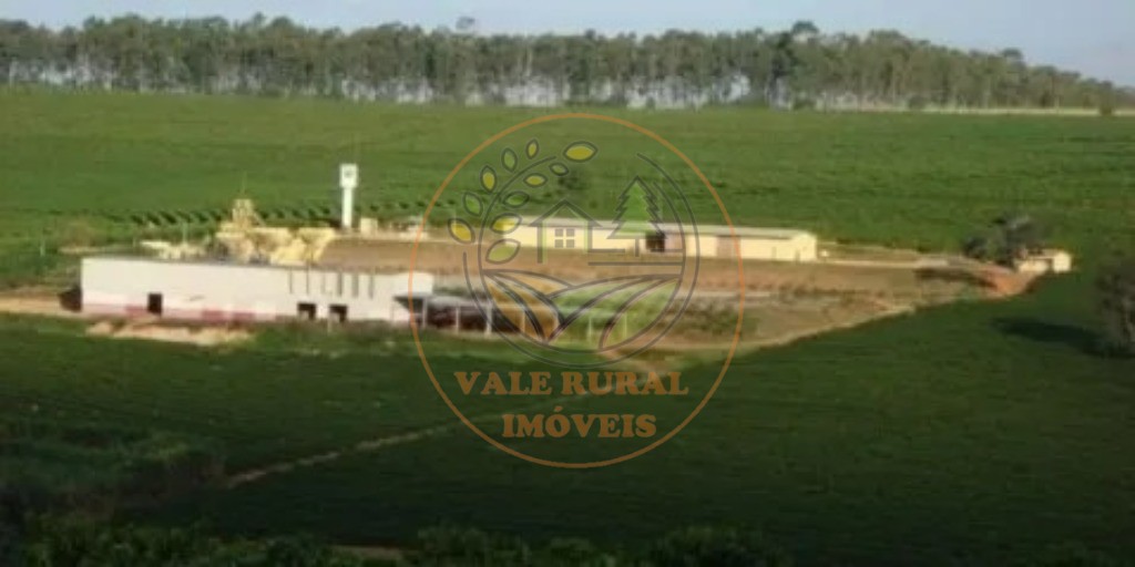 Fazenda - Foto 7