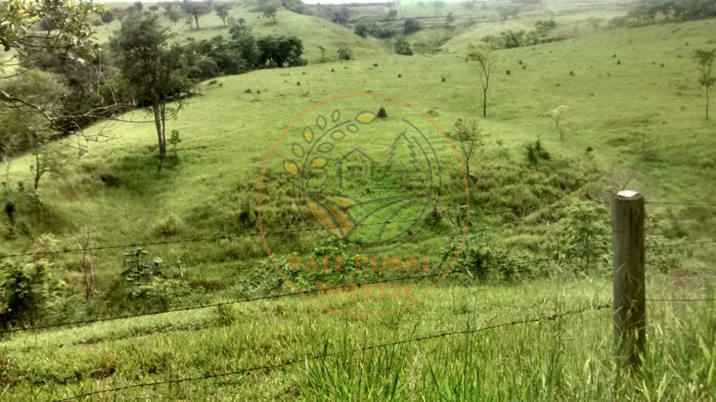 Fazenda - Foto 6