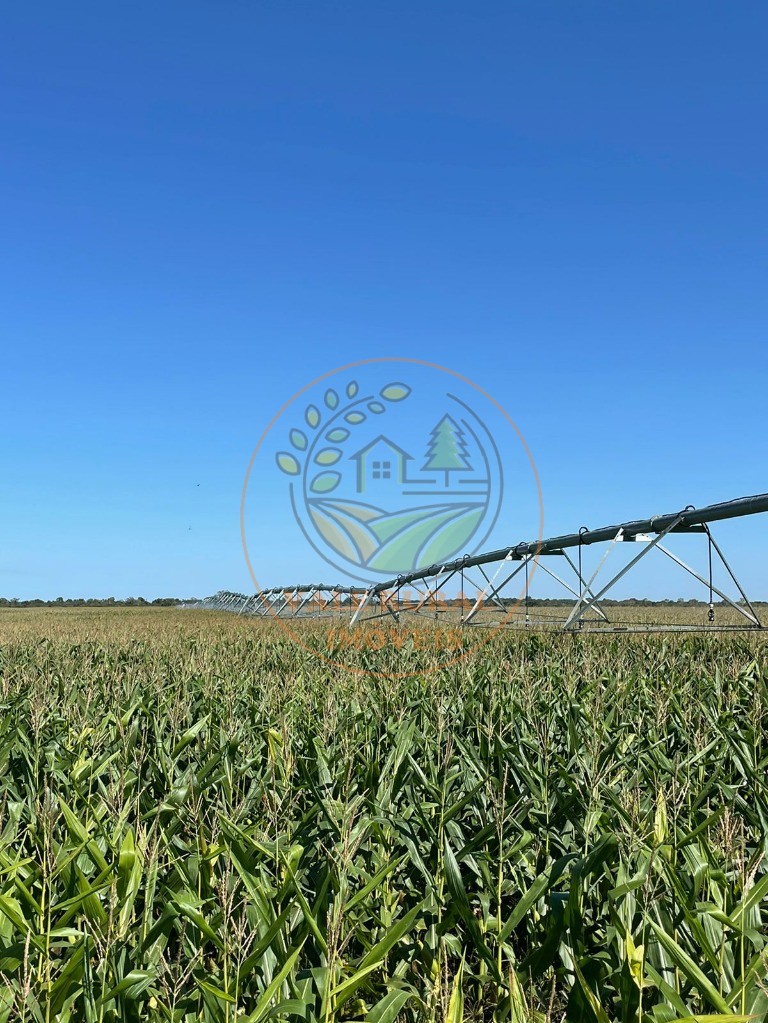 Fazenda - Foto 19