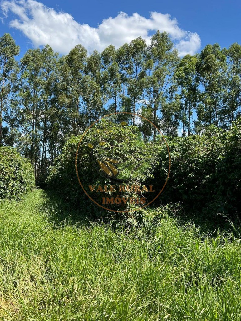 Fazenda - Foto 29