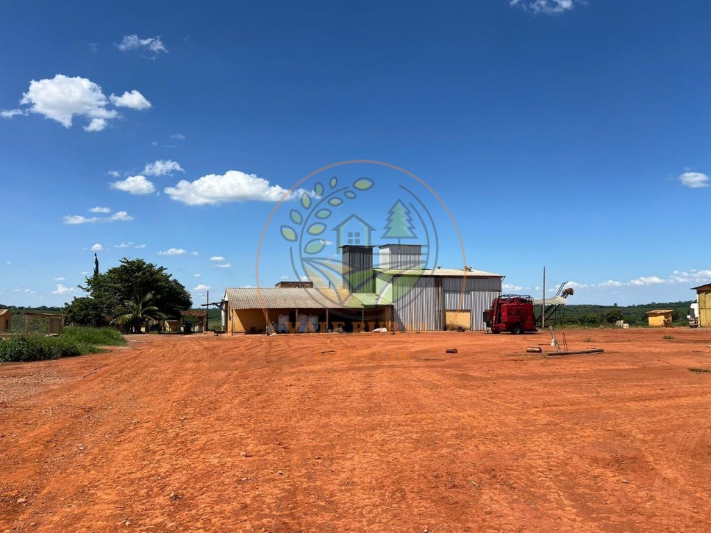 Fazenda - Foto 32