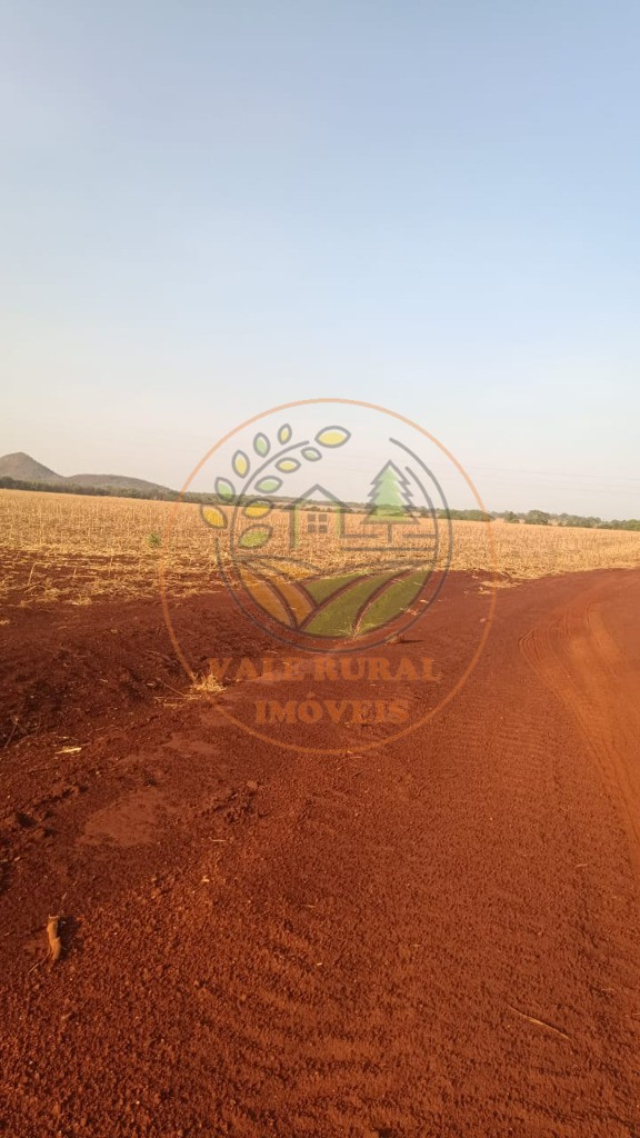 Fazenda - Foto 31