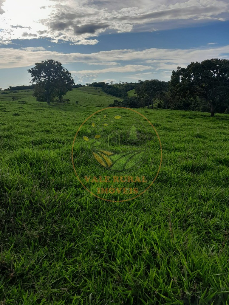 Fazenda - Foto 7