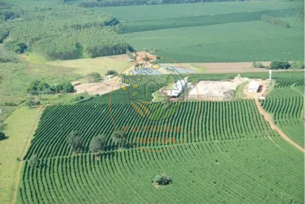 Fazenda - Foto 4