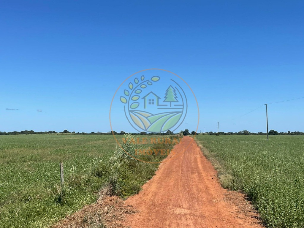 Fazenda - Foto 17