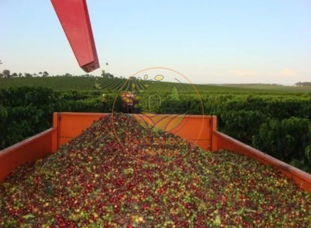 Fazenda - Foto 18