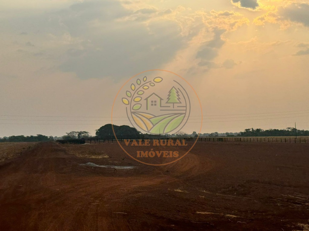 Fazenda - Foto 5