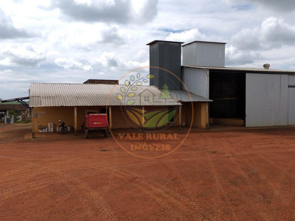 Fazenda - Foto 12