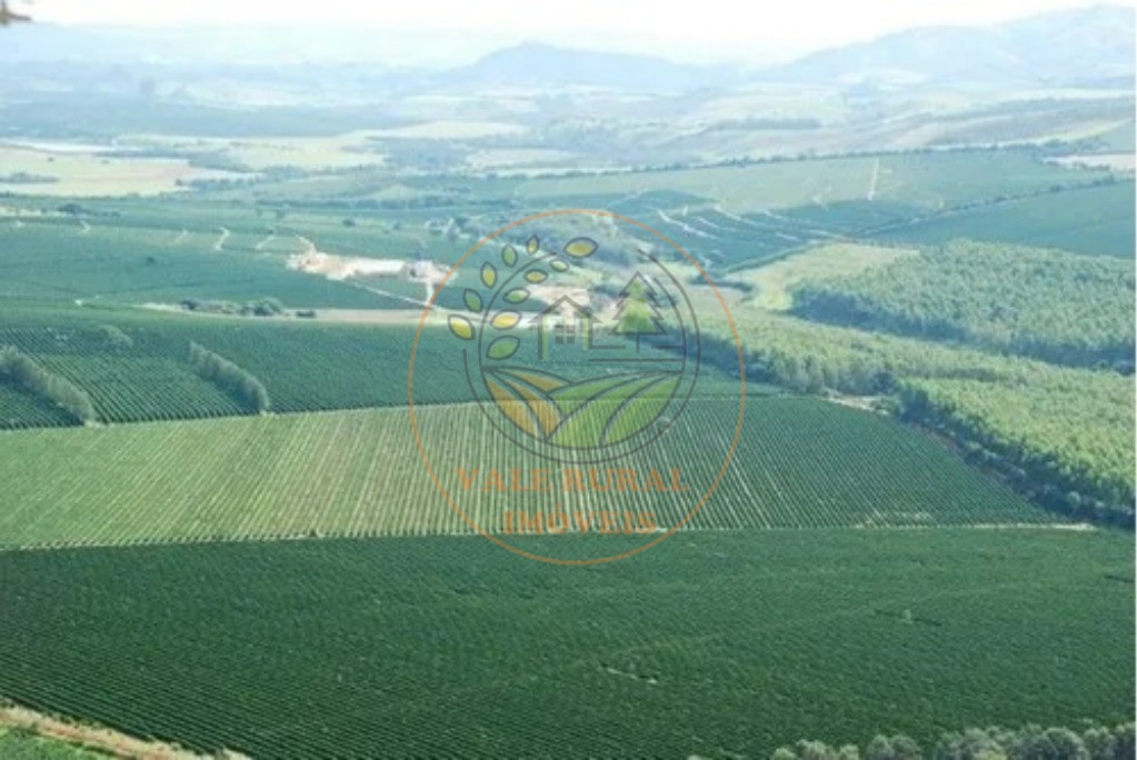 Fazenda - Foto 5