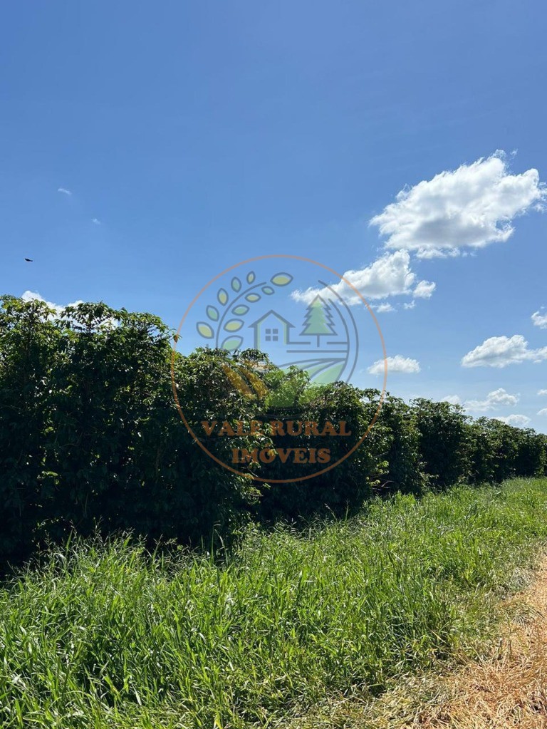 Fazenda - Foto 28