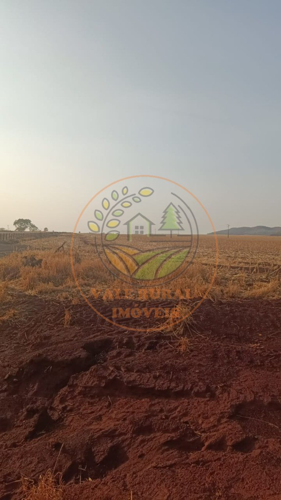 Fazenda - Foto 10
