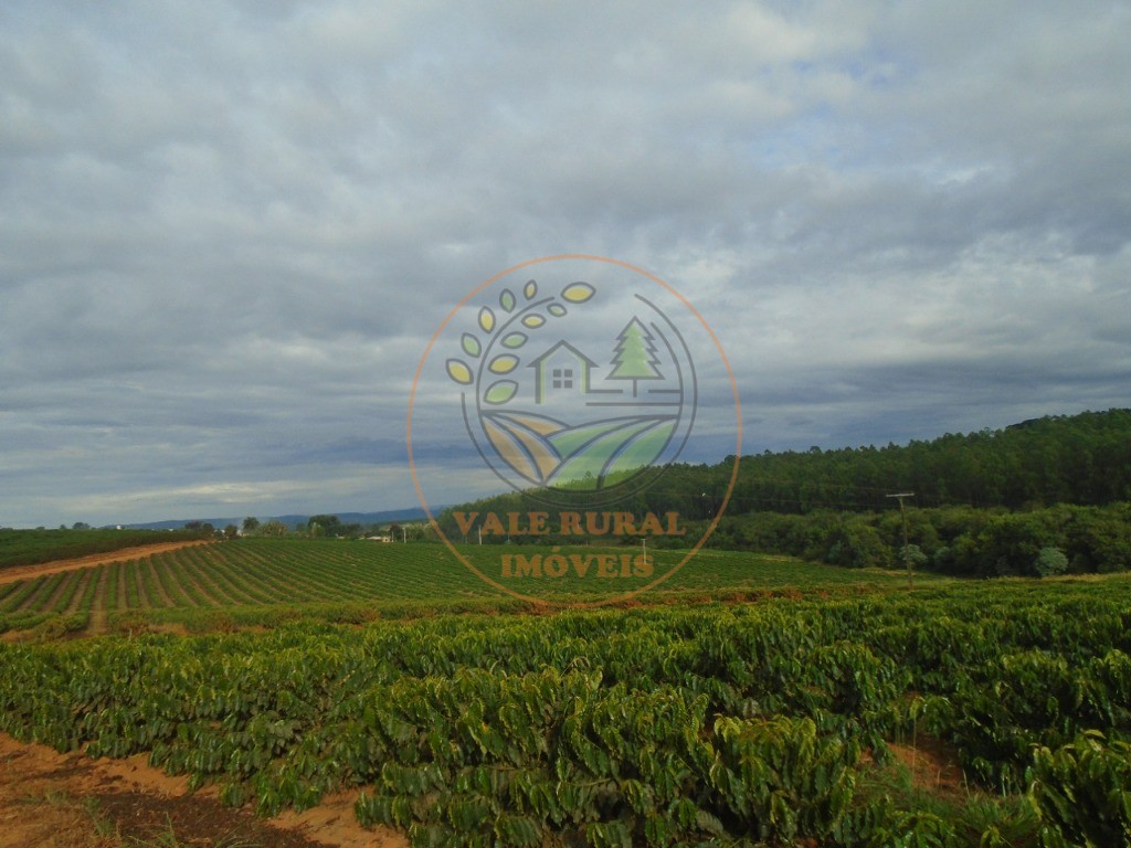 Fazenda - Foto 10