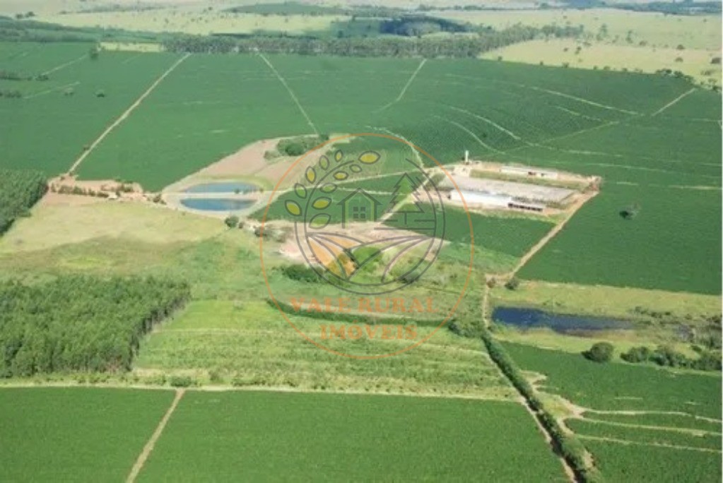 Fazenda - Foto 6