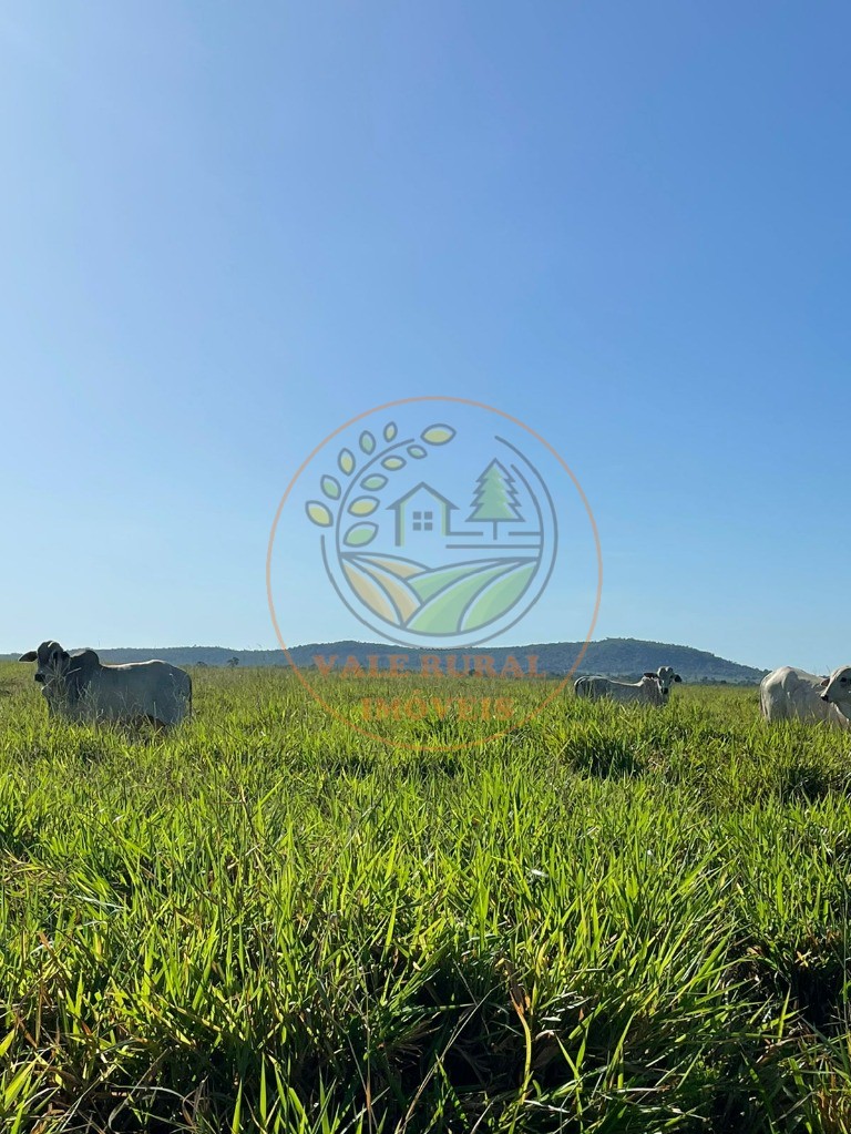 Fazenda - Foto 22