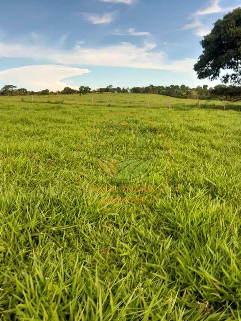 Fazenda - Foto 9