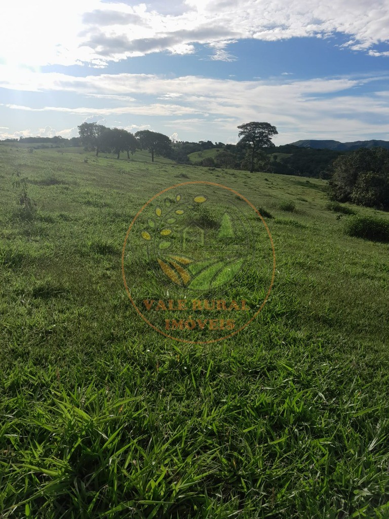 Fazenda - Foto 15