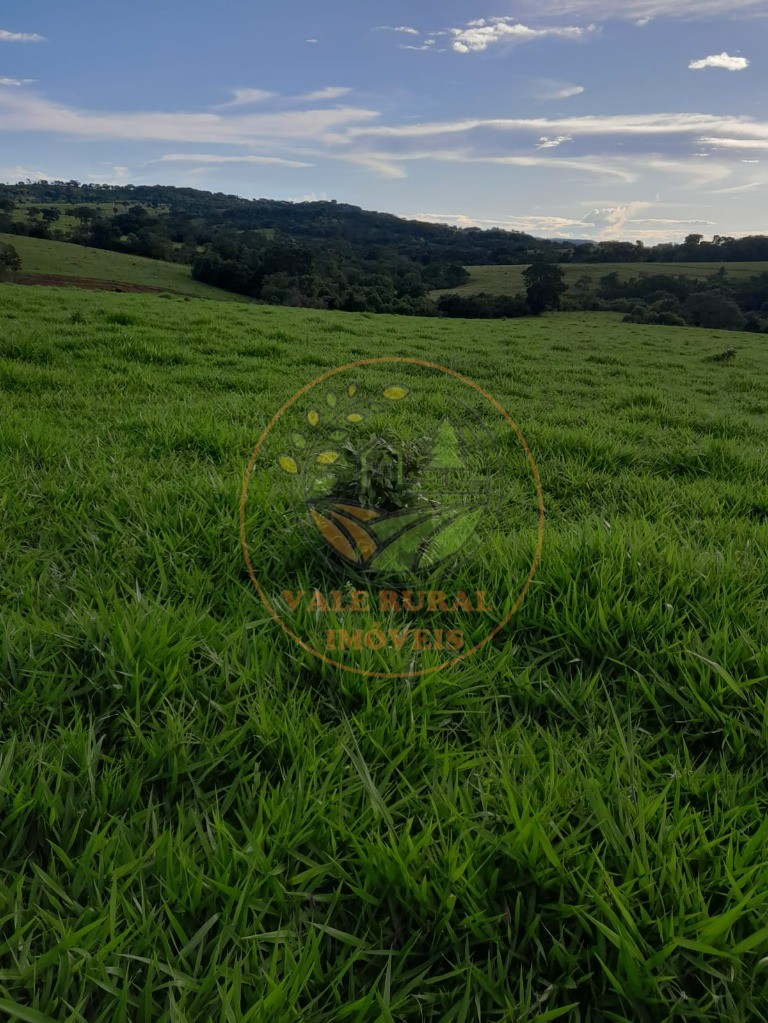 Fazenda - Foto 5