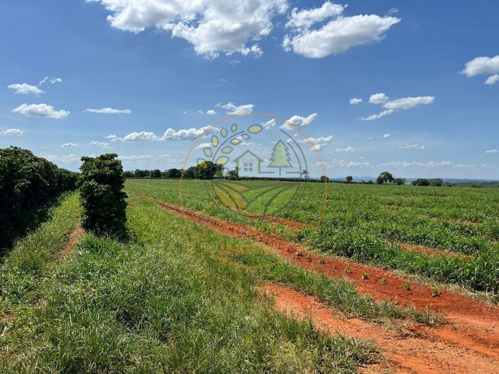 Fazenda - Foto 30