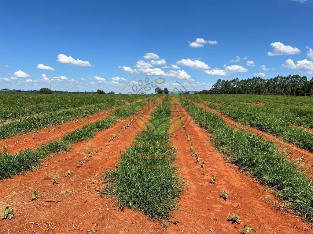 Fazenda - Foto 27