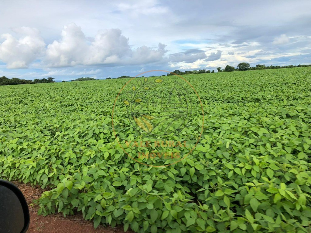 Fazenda, 5 quartos - Foto 18