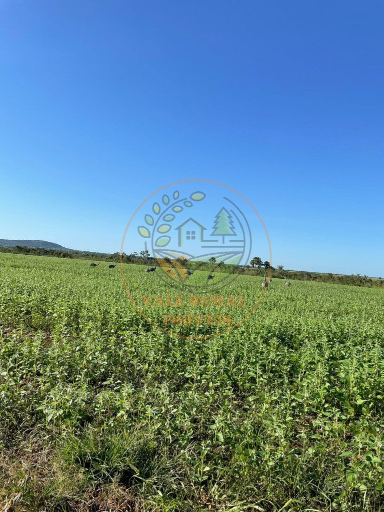 Fazenda - Foto 24